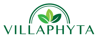 Виллафита logo